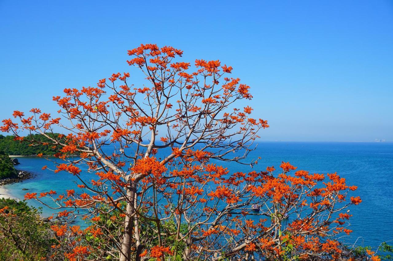 Cham Island Homestay Lau Thu Tân Hiệ Eksteriør bilde